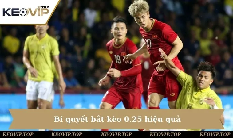 Bí quyết bắt kèo 0.25 hiệu quả