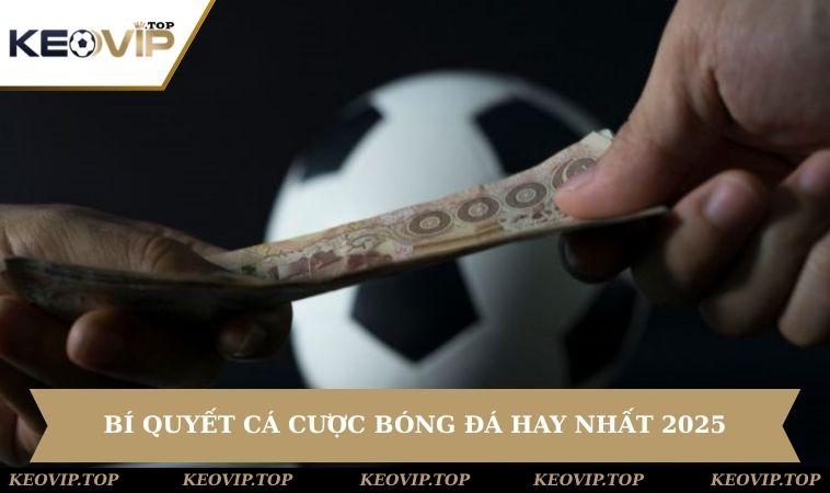 Bí Quyết Cá Cược Bóng Đá