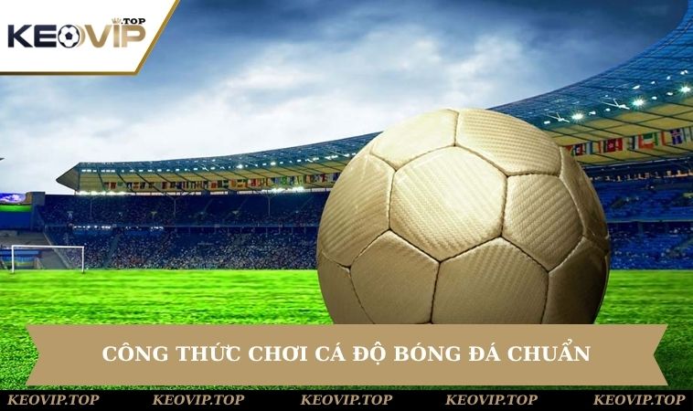 Học hỏi một số công thức chơi cá độ chuẩn chỉnh