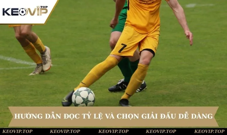 Hướng dẫn đọc tỷ lệ và chọn giải đấu dễ dàng