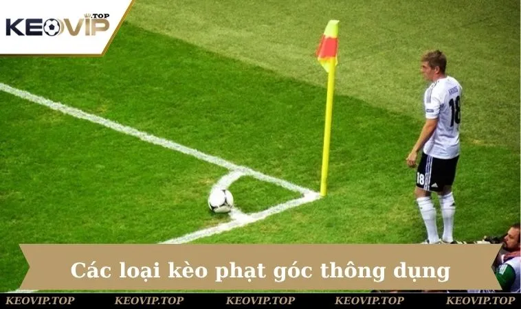 Tổng hợp những hình thức cược thường thấy của Corner Kick
