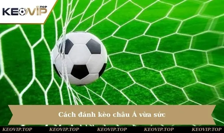Cách đánh kèo châu Á vừa sức