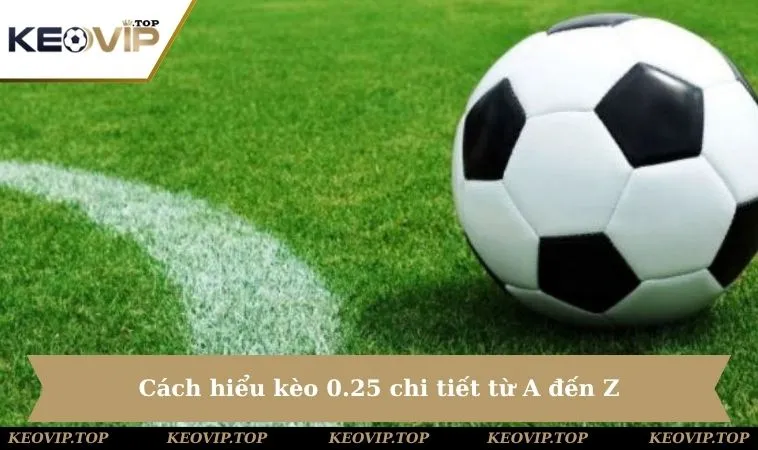 Cách hiểu kèo 0.25 chi tiết từ A đến Z
