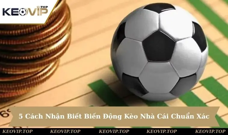 Cách nhận biết biến động kèo nhà cái