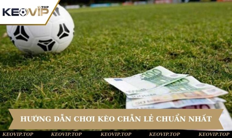 Chia sẻ luật chơi chuẩn nhất cho newbie