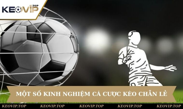 Học hỏi kinh nghiệm cá cược từ chuyên gia