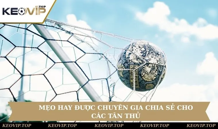 Mẹo hay được chuyên gia chia sẻ cho các tân thủ
