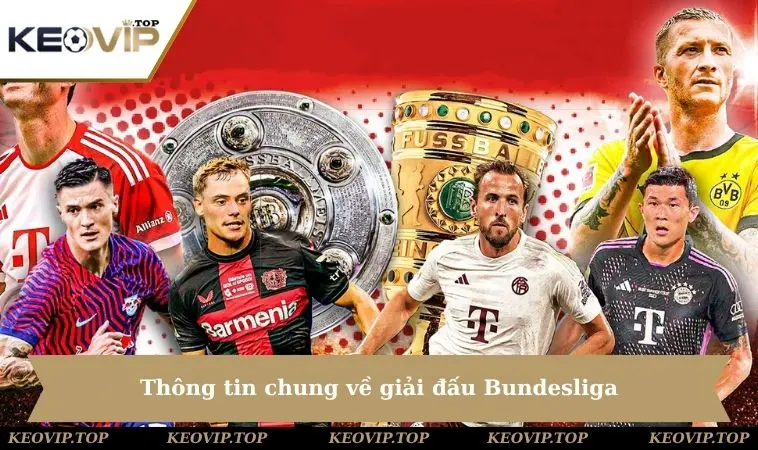 Thông tin chung về giải đấu Bundesliga