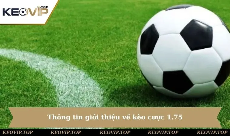 Thông tin giới thiệu về kèo cược 1.75