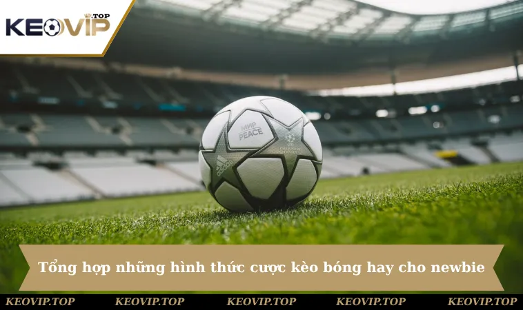 Tổng hợp những hình thức cược kèo bóng hay cho newbie