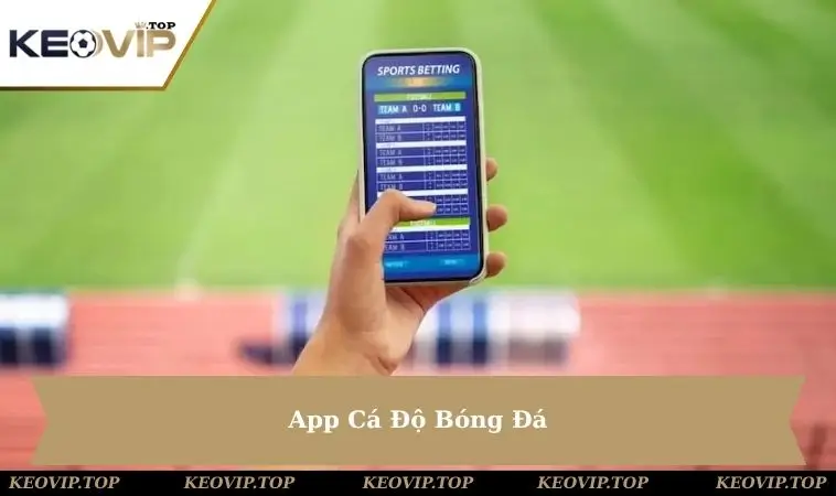 app-ca-do-bong-da