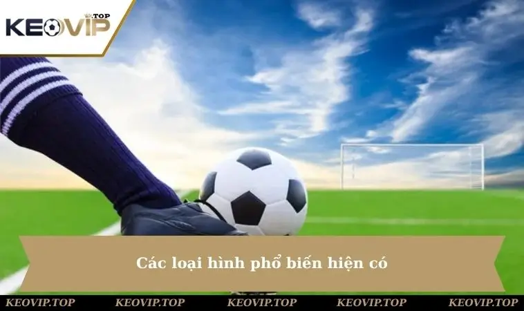 Các loại hình phổ biến hiện có