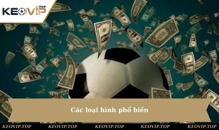 cac loai hinh pho bien Các loại hình phổ biến