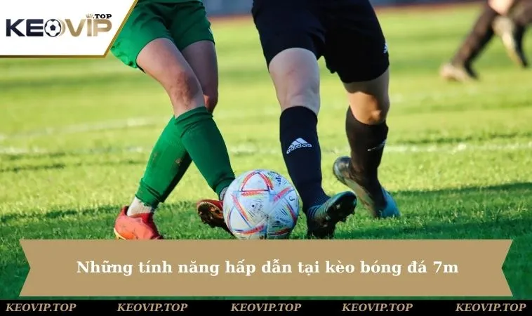 cac tinh nang quan trong tai keo bong da 7m Những tính năng hấp dẫn giúp bạn có được nhận định tốt
