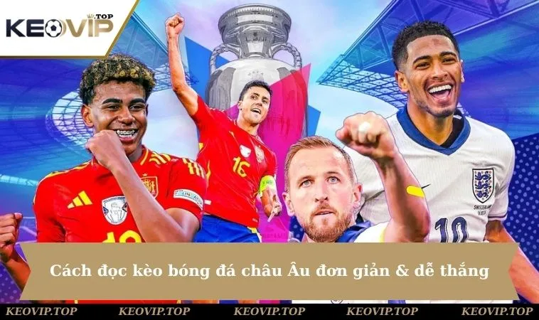 cach doc keo bong da chau au don gian de thang Cách đọc kèo bóng đá châu Âu đơn giản & dễ thắng
