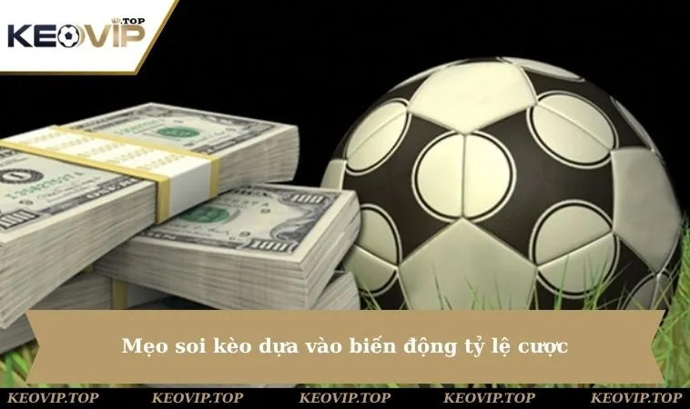 cach doc keo bong da chau au dua bien dong ty le cuoc Mẹo soi kèo dựa vào biến động tỷ lệ cược