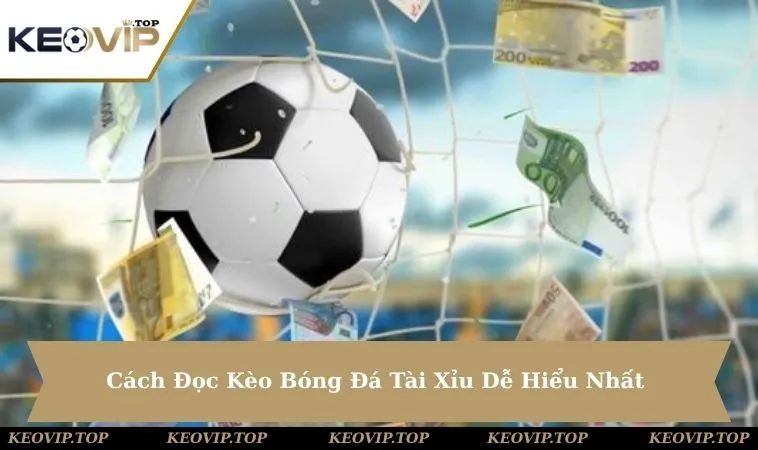 Cách Đọc Kèo Bóng Đá Tài Xỉu Dễ Hiểu Nhất Dành Cho Người Mới