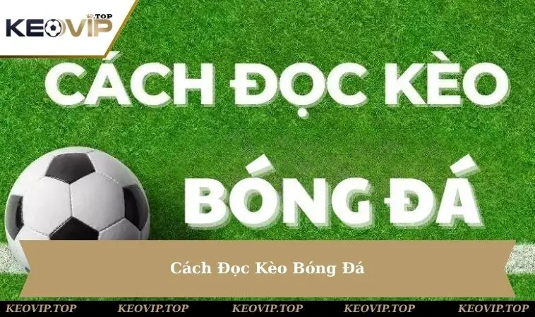 cach-doc-keo-bong-da