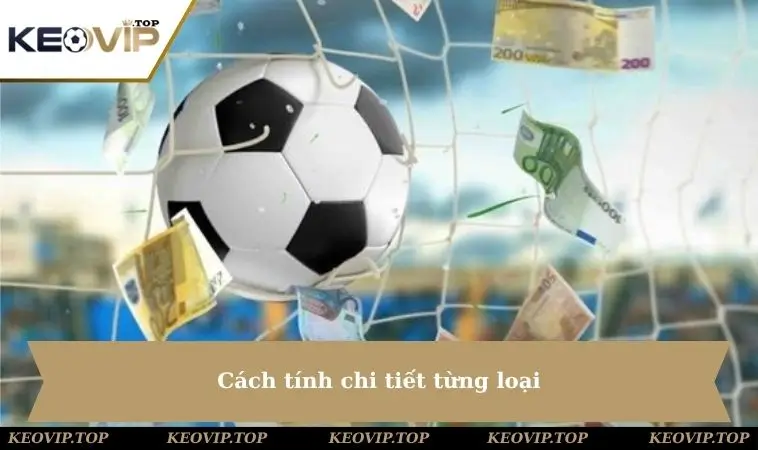 cach tinh tien chi tiet tung loai Cách tính chi tiết từng loại