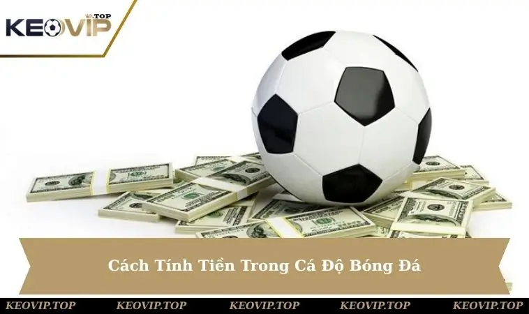 cach-tinh-tien-trong-ca-do-bong-da
