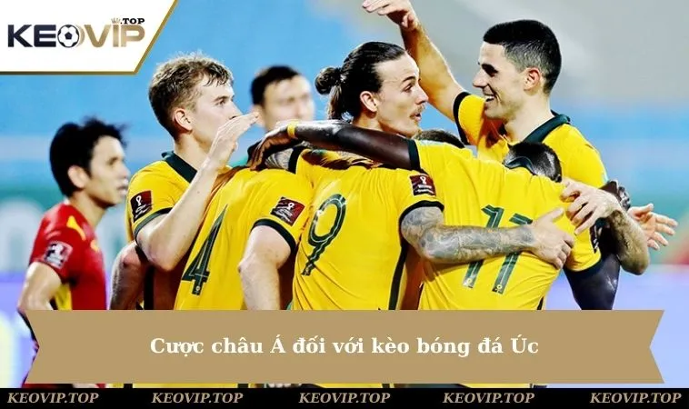 cuoc chau a doi voi keo bong da uc Cược châu Á đối với kèo bóng đá Úc