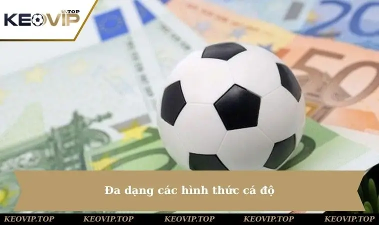 da dang cac hinh thuc ca do Đa dạng các hình thức cá độ