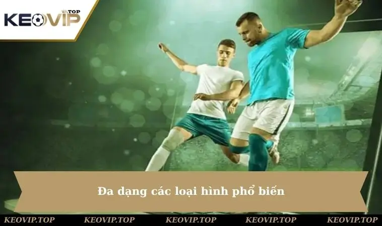 da dang cac loai hinh pho bien Đa dạng các loại hình phổ biến