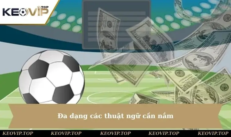 da dang cac thuat ngu can nam Đa dạng các thuật ngữ cần nắm