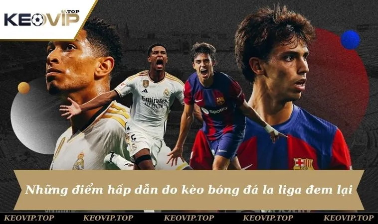 diem hap dan cua keo bong da la liga Những điểm hấp dẫn do kèo bóng đá la liga đem lại