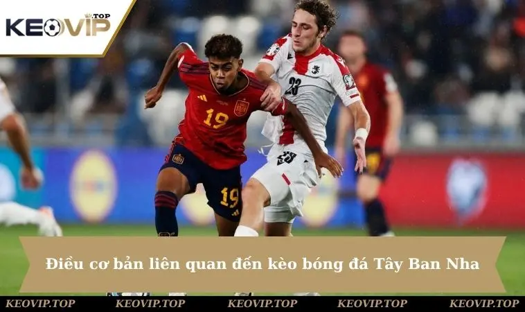 dieu co ban lien quan den keo bong tay ban nha Điều cơ bản liên quan đến kèo bóng đá Tây Ban Nha