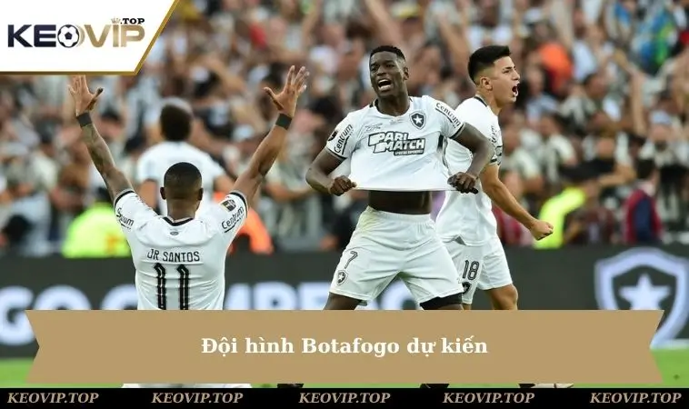 doi hinh botafogo Đội hình Botafogo dự kiến