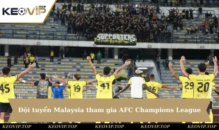 doi tuyen malaysia tham gia afc champions league Đội tuyển Malaysia tham gia AFC Champions League
