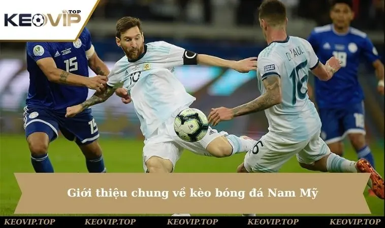gioi thieu chung ve keo bong da nam my Giới thiệu chung về kèo bóng đá Nam Mỹ