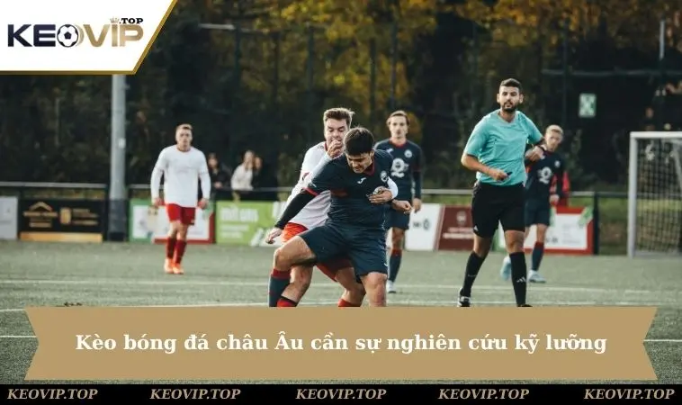 keo bong da chau au can nghien cuu ky luong Kèo bóng đá châu Âu cần sự nghiên cứu kỹ lưỡng