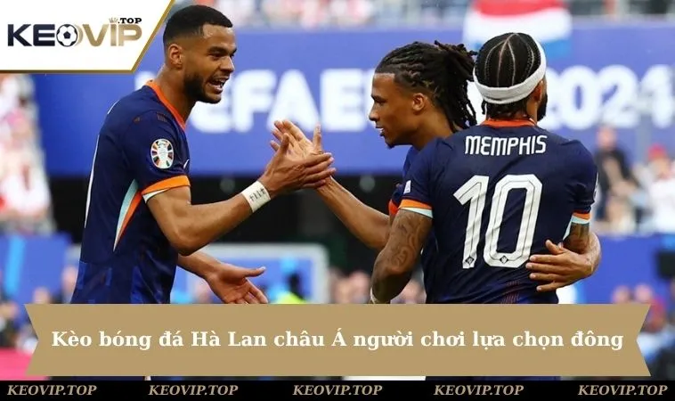 Kèo bóng đá Hà Lan châu Á là lựa chọn quen thuộc với người chơi chuyên nghiệp
