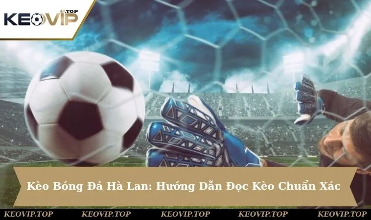 Kèo Bóng Đá Hà Lan: Hướng Dẫn Đọc Kèo Chuẩn Xác & Hiệu Quả