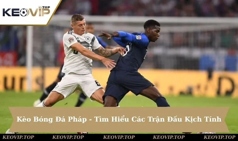 Kèo Bóng Đá Pháp - Tìm Hiểu Các Trận Đấu Kịch Tính