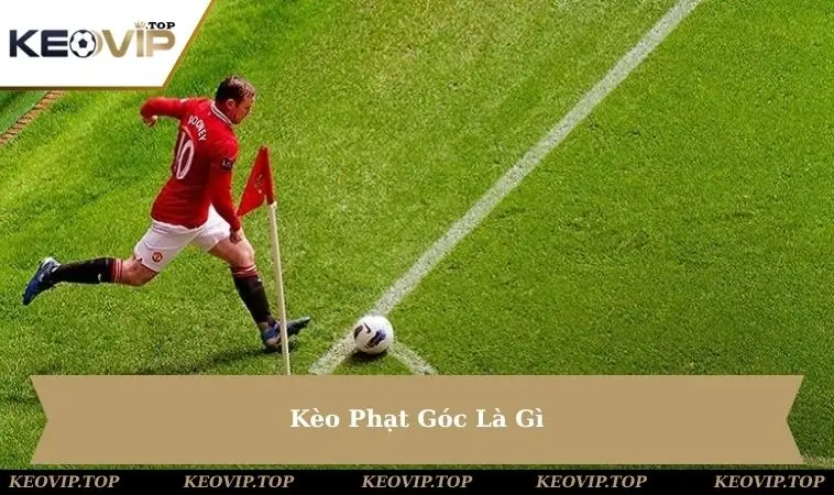 keo-phat-goc-la-gi