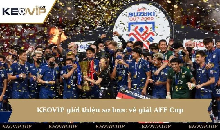 keovip gioi thieu so luoc ve giai aff cup KEOVIP giới thiệu sơ lược về giải AFF Cup