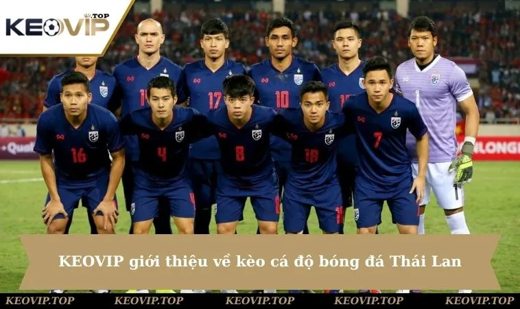 keovip gioi thieu ve keo ca do bong da thai lan KEOVIP giới thiệu về kèo cá độ bóng đá Thái Lan