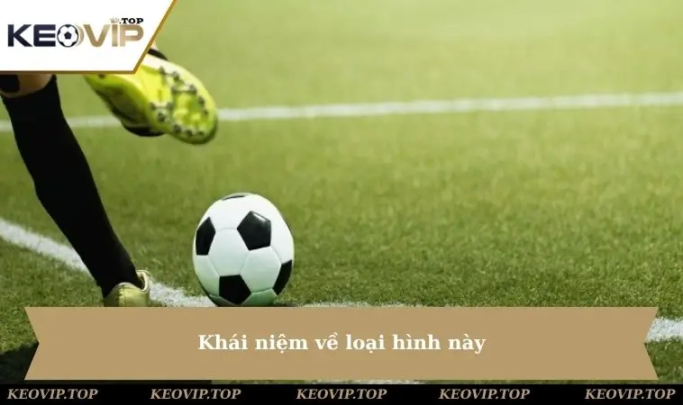 Khái niệm về loại hình này