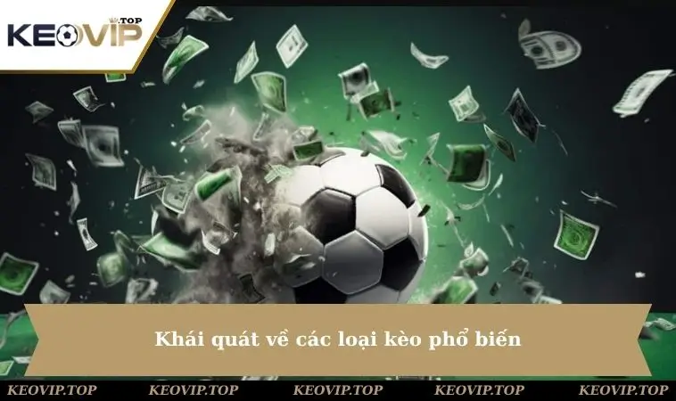 khai quat ve cac loai keo pho bien Khái quát các loại kèo phổ biến