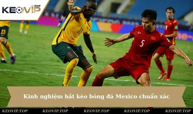 kinh nghiem bat keo bong da mexico chuan Kinh nghiệm bắt kèo bóng đá Mexico chuẩn xác