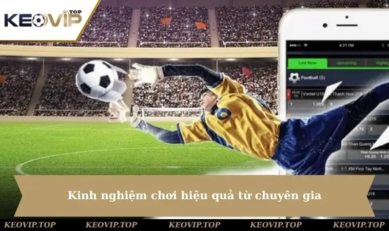 Kinh nghiệm hiệu quả bởi chuyên gia