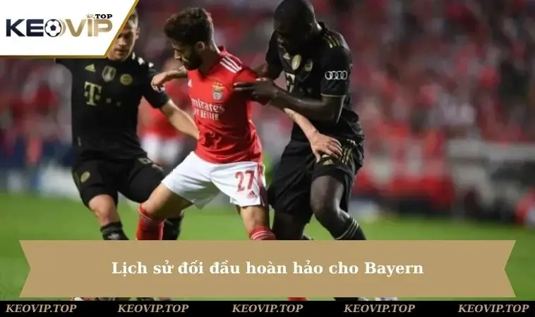 lich su doi dau hoan hao cho bayern Lịch sử đối đầu hoàn hảo cho Bayern