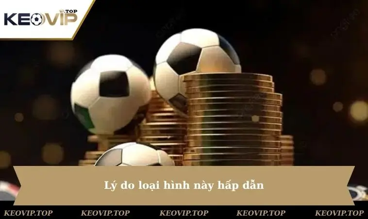 ly do loai hinh nay hap dan Lý do loại hình này hấp dẫn
