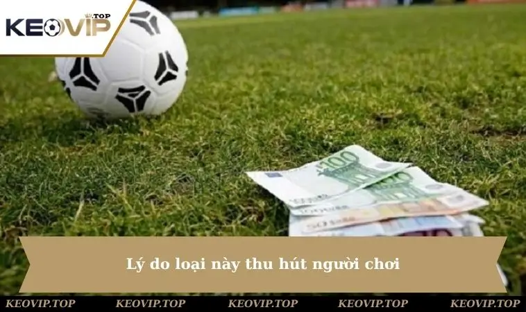 ly do loai nay thu hut nguoi choi Lý do loại này thu hút người chơi