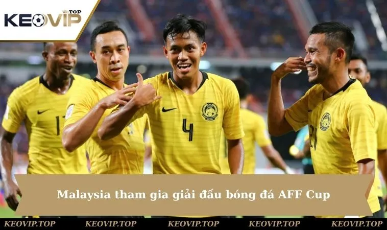 malaysia tham gia giai dau bong da aff cup Malaysia tham gia giải đấu bóng đá AFF Cup
