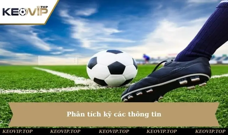 Phân tích kỹ các thông tin