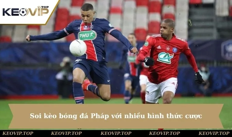 soi keo bong da phap voi nhieu hinh thuc cuoc Soi kèo bóng đá Pháp với nhiều hình thức cược